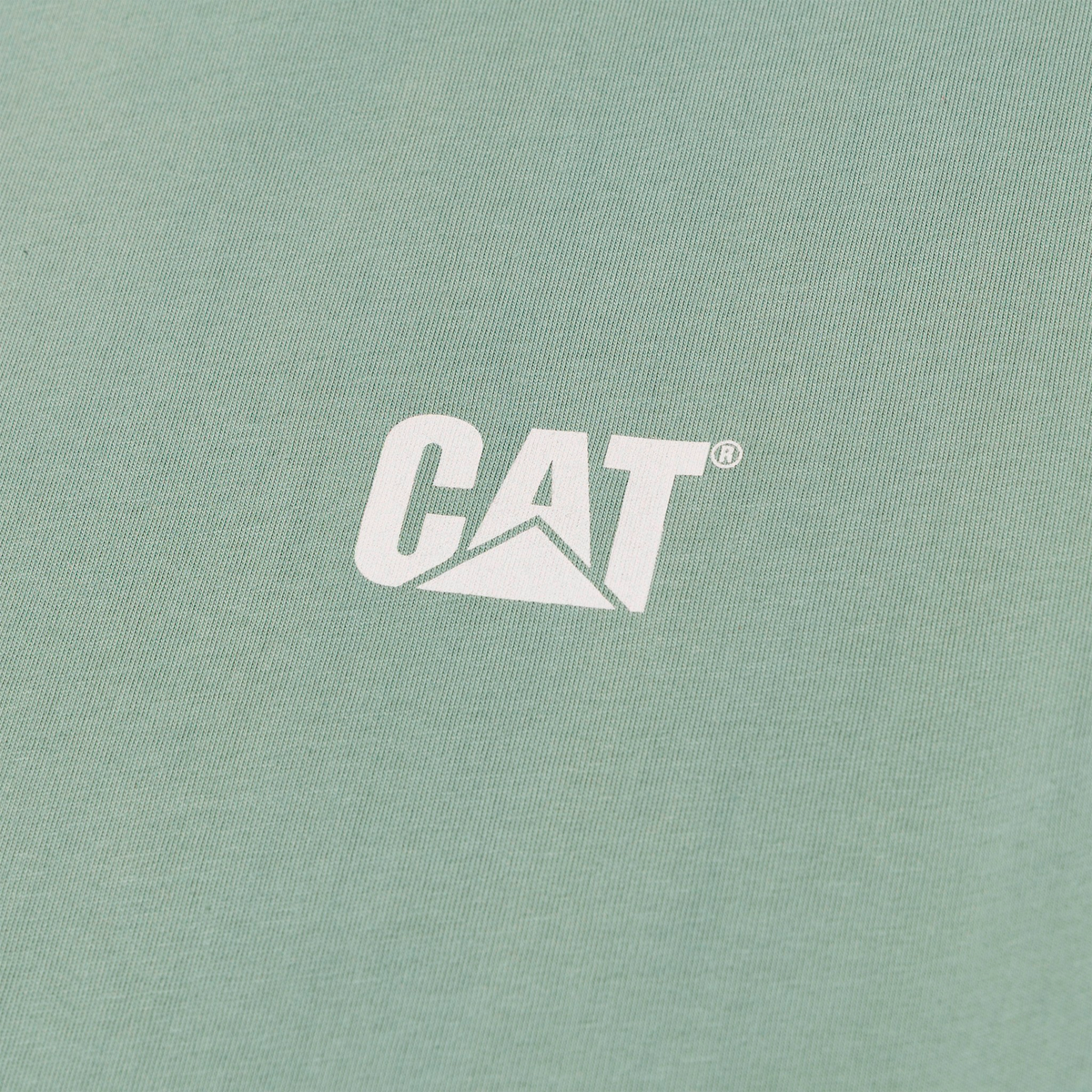 Camiseta Relaxed Cat C Block para hombre color verde